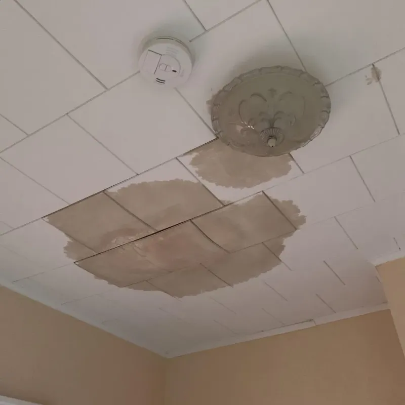 Ceiling Water Damage Repair in Scott County, MN